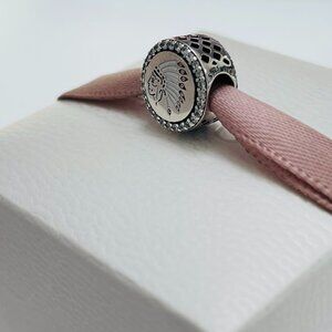 Pandora New Mexico exclusive charm